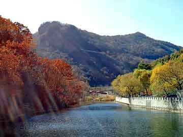 管家婆免费正版资起大全，黄山毛峰1875